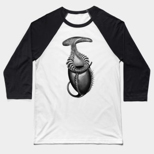 Botanical Carnivorous Plant Drawing Nepenthes Villosa Pitcher Baseball T-Shirt